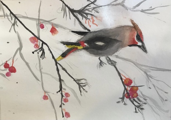 Watercolor of a bird on branches with red berries