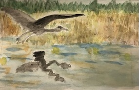 watercolor painting of blue heron