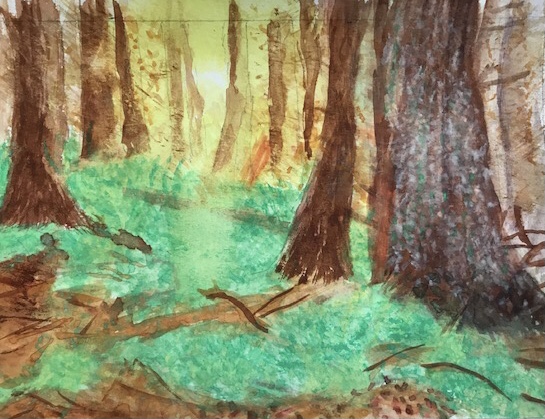 watercolor painting of trees and ground cover / moss.