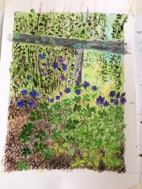 watercolor painting of a fence and purple flowers