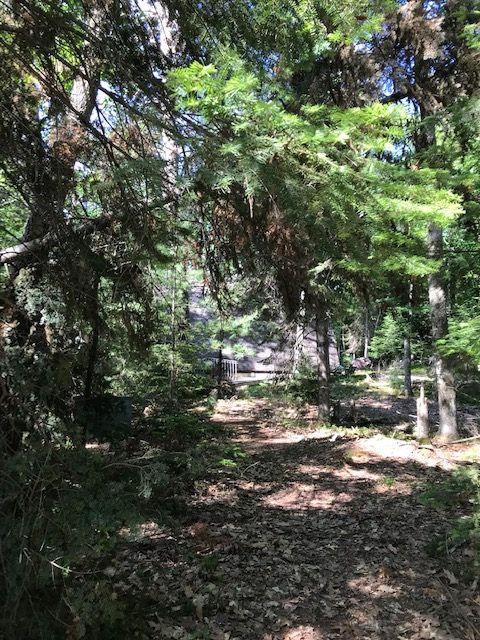 Photo of a path clear of trees.