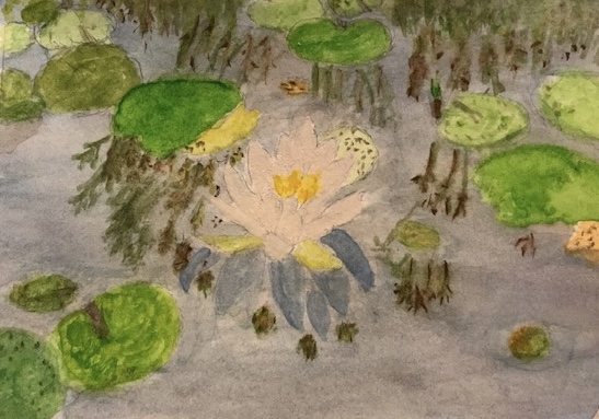 watercolor painting of a water lily on a lake