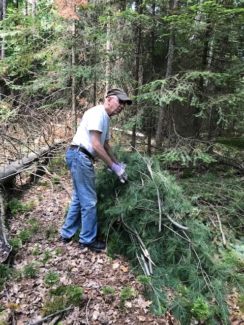 Photo of man with gloves on in front of a pile of evergreen branches.