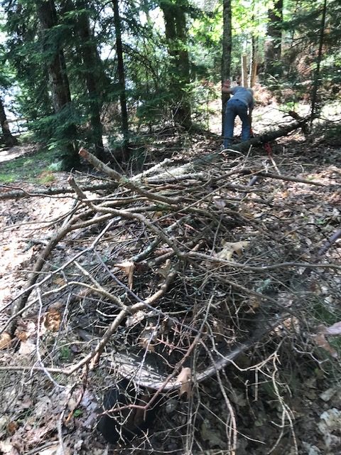 photo of a pile of tree brush and a man in the background bending over.