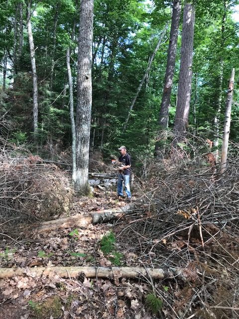 photo of man clearing a brush path