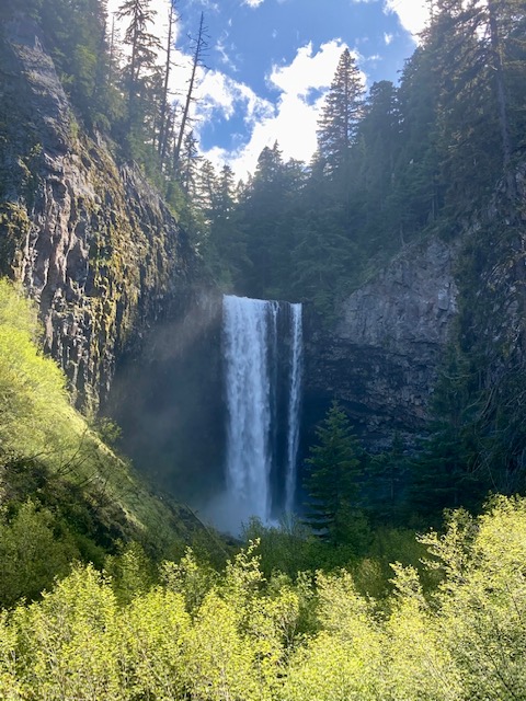 photo of a waterfall that is being painted by Ter