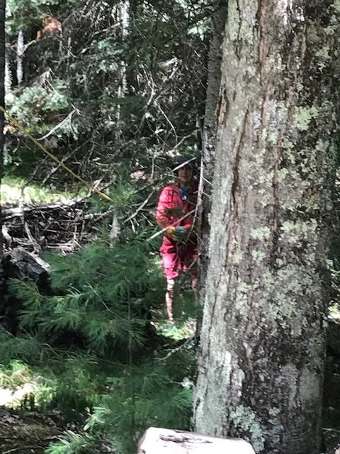 Man in the woods acting as a belay on the other side of the A-frame roof.