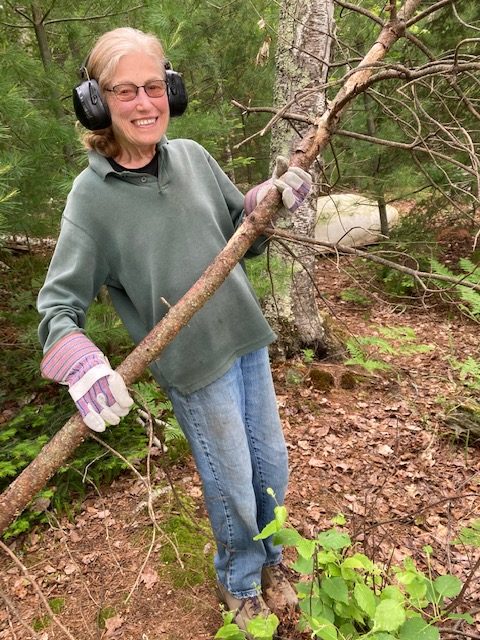 image of woman carry a dead tree branch.