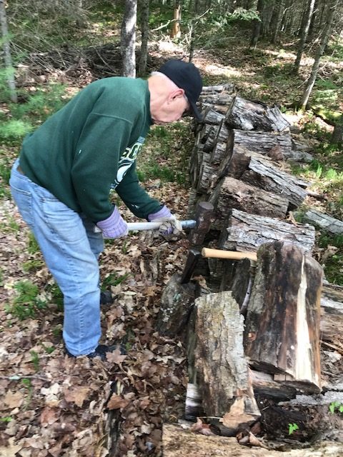 image of man in front of log pile