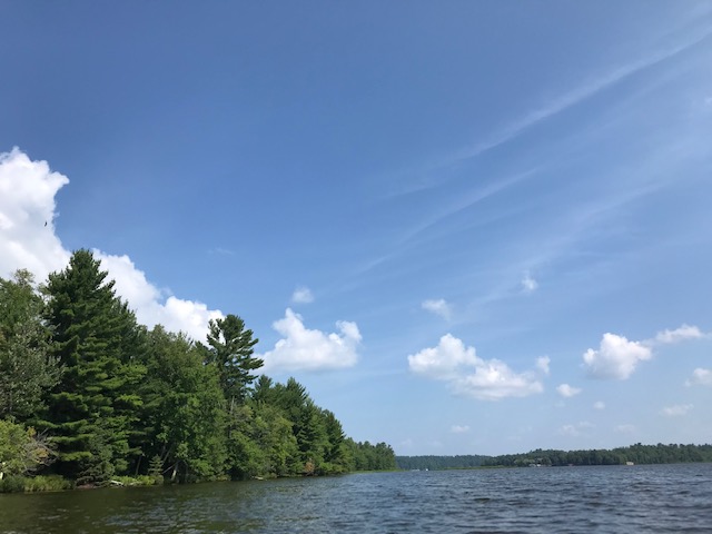 photo of the lake, shoreline and sky with an eagle soaring, which in the photo looks like a dot.