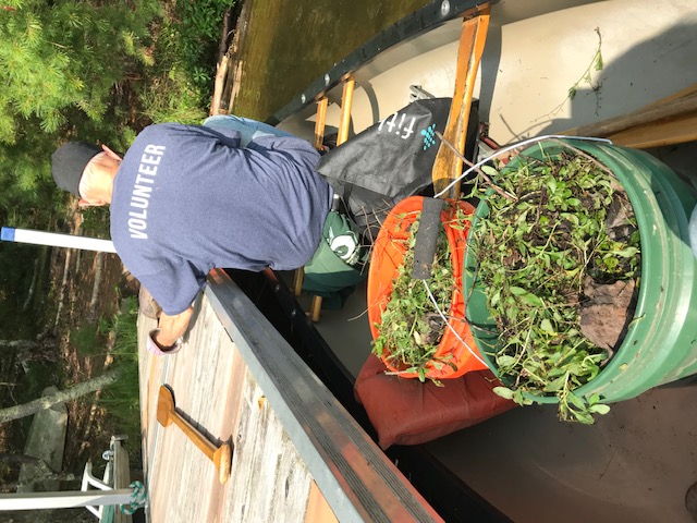 image of two buckets full of forget-me-nots with a man in the bow of the canoe