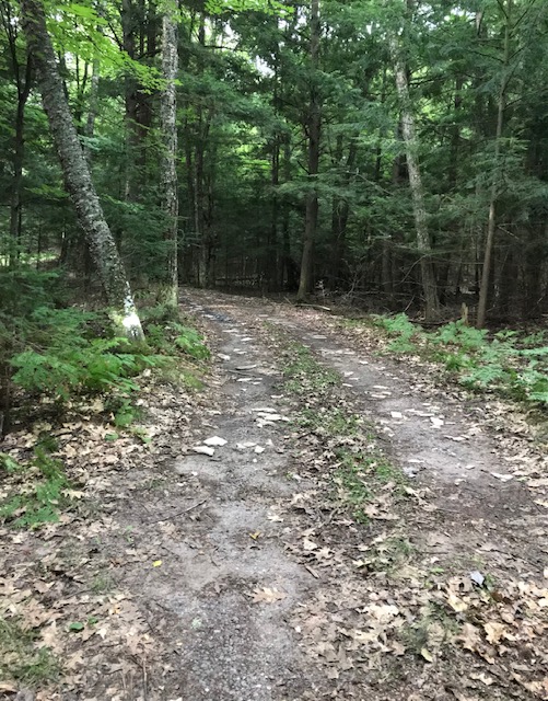 photo of the dirt driveway with newly placed gypsum board.