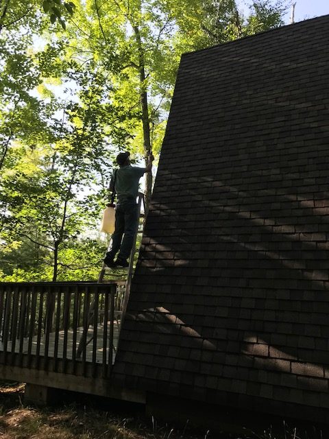 man on ladder in silhouette spraying a-frame roof.