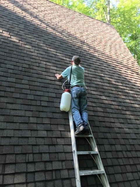 man standing on a ladder that's leaning against the a-frame roof spraying roof treatement.