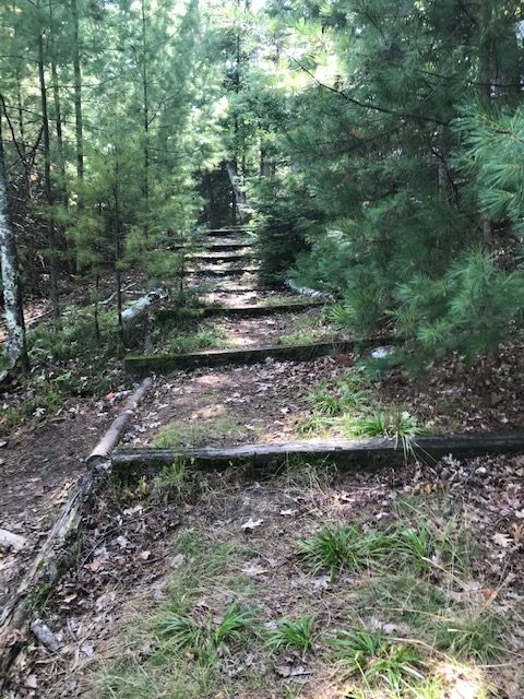 photo of path to the A-frame