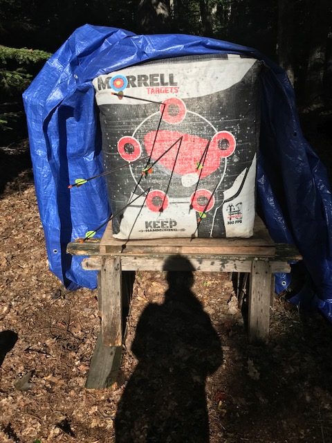 photo of the archery target