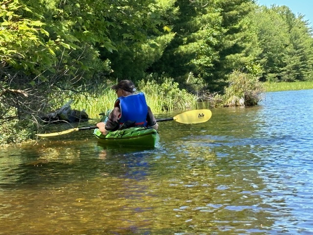 photo of man kayaking near lake shoreline