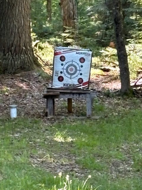 photo or archery target in forest