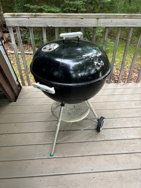 image of the charcoal weber grill