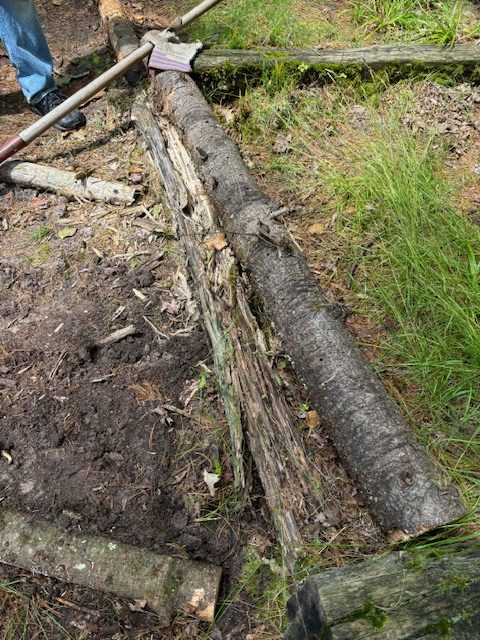 photo of new log replacing old log in natural stairs