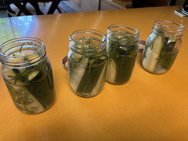 photo of homemade pickles