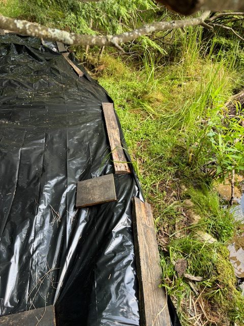 photo of tarp covering plants