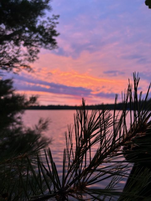 photo of a pine tree branch with sunrise in backgroun