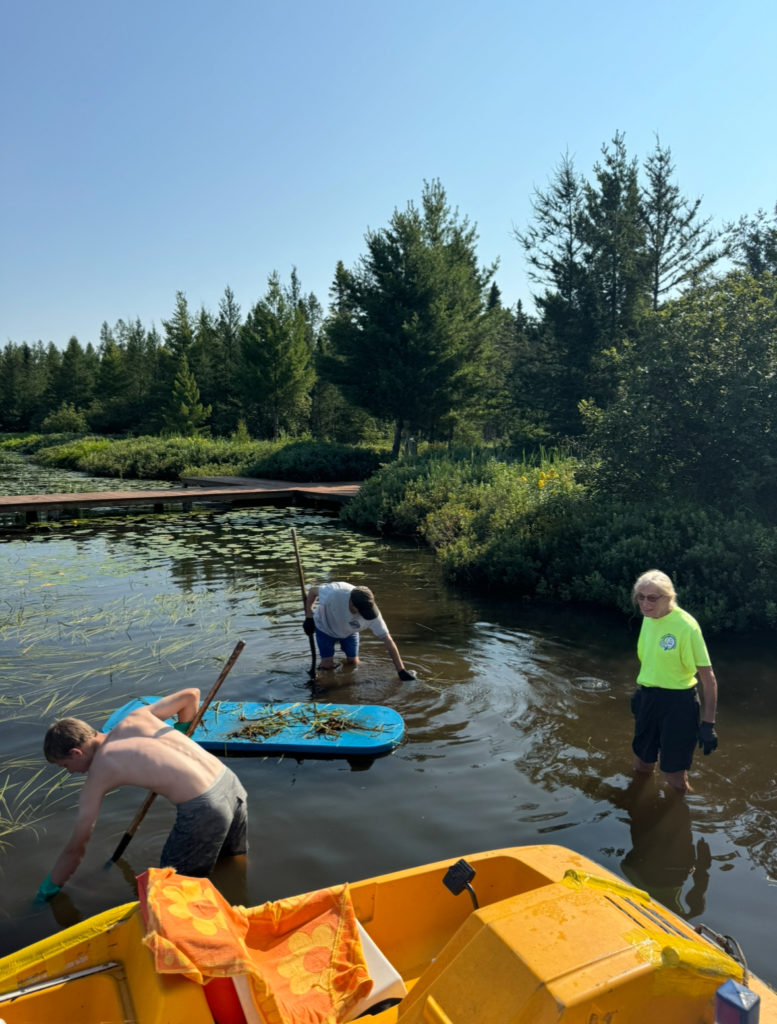 two men and woman in water removing weeds from lake